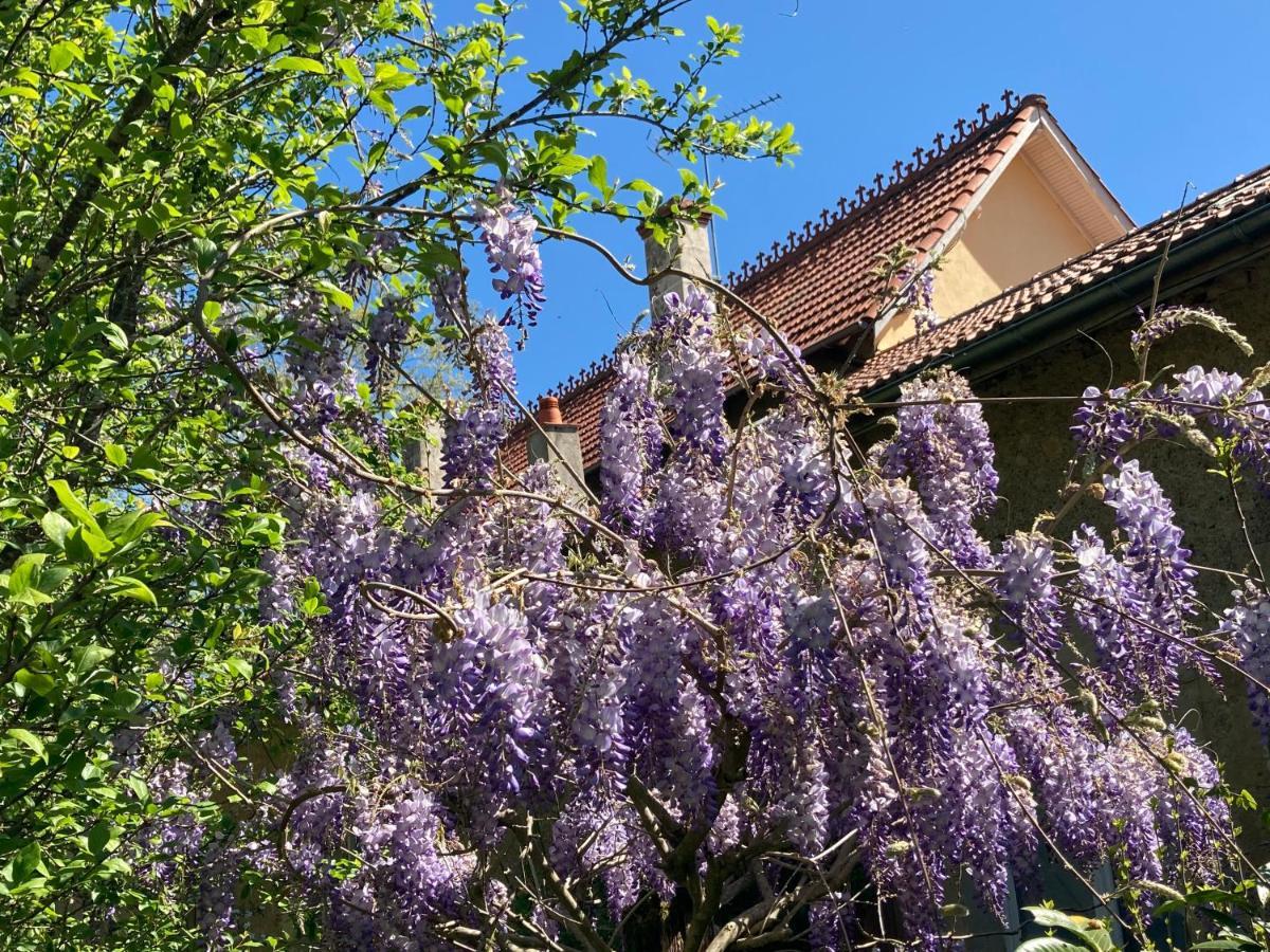 Domaine La Jam Acomodação com café da manhã Marciac Exterior foto